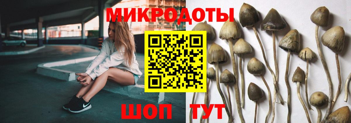 Красноуфимск  Псилоцибиновые грибы Psilocybe  дарнет шоп  Вход с VPN 